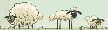 Home Sheep Home