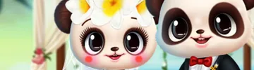 Panda Tropical Wedding                    -Story